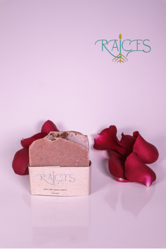 Postre-raices